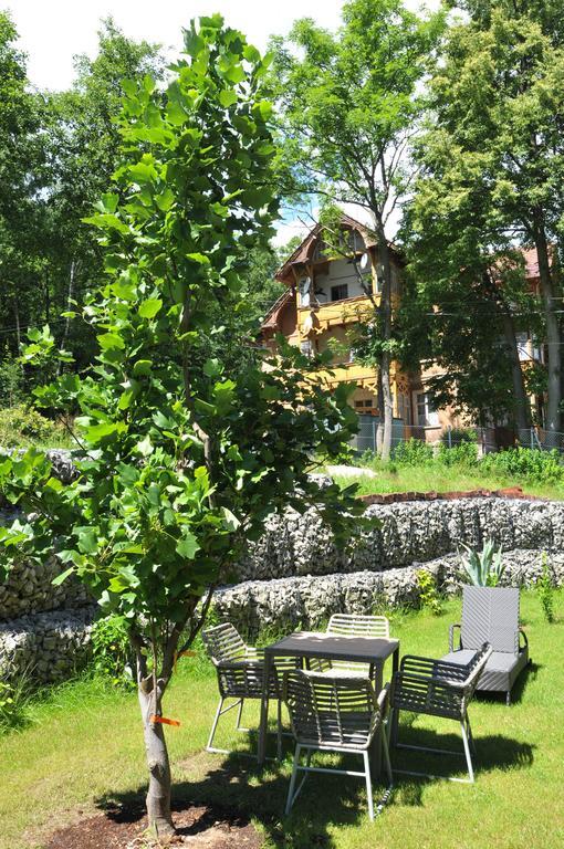 Boutique Hotel Sudetia - Medical & Spa Świeradów-Zdrój エクステリア 写真
