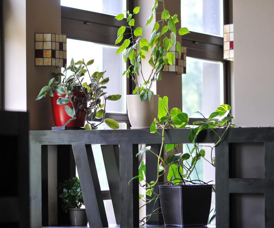 Boutique Hotel Sudetia - Medical & Spa Świeradów-Zdrój エクステリア 写真