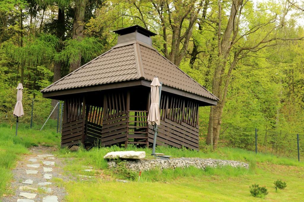 Boutique Hotel Sudetia - Medical & Spa Świeradów-Zdrój エクステリア 写真